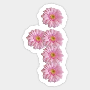 Letter i Pink Gerbera Daisy Sticker